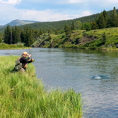 Guided Fishing