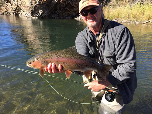 Discover Fly Fishing Lessons for Beginners in Alberta